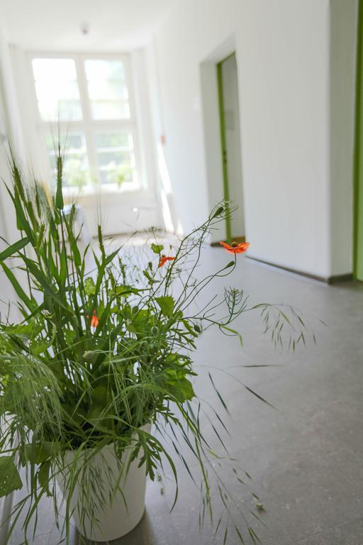 Family Inn Herberge Hildesheim Buitenkant foto